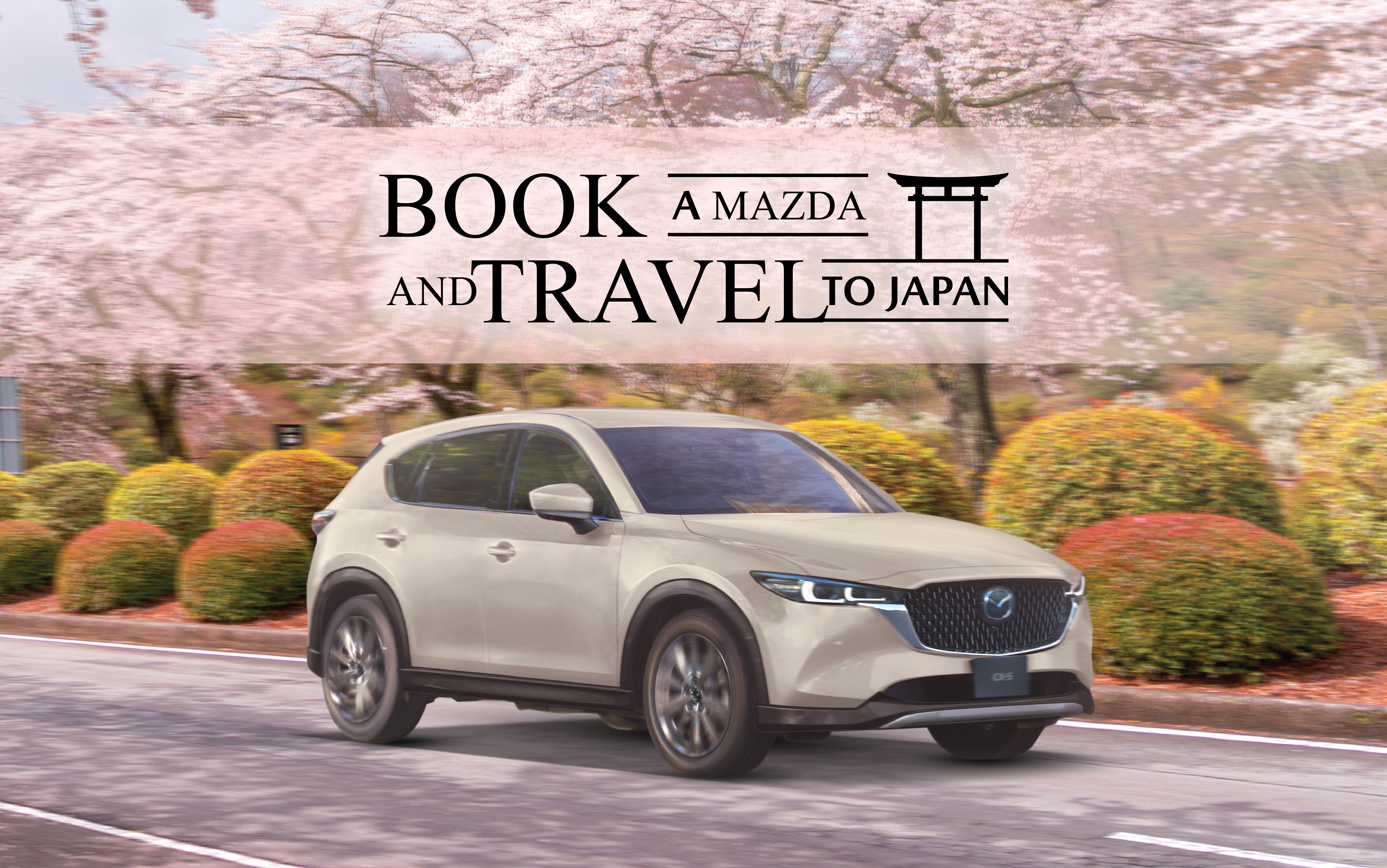 20250616 Bookntravel Hiroshima 1438X900